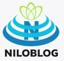 seo digi